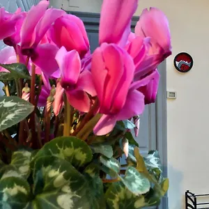 Appartamento Flat66, Milano